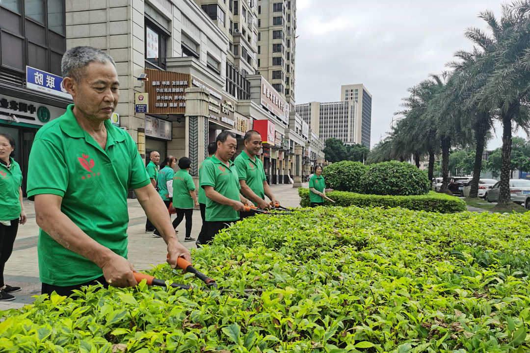 小区园林绿化养护修剪